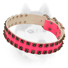 Incredible leather Siberian Husky collar with old nickel  studs