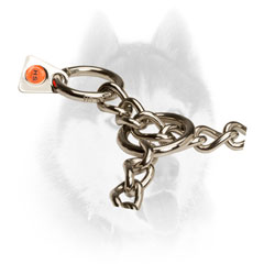 Strong Siberian Husky collar in silver     color