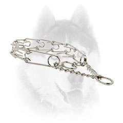 Strong Siberian Husky Metal Pinch     collar