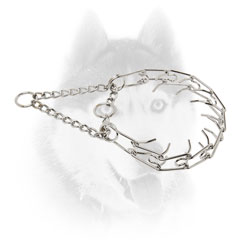 Strong Siberian Husky Metal Pinch collar