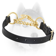 Siberian Husky Brass Martingale Collar
