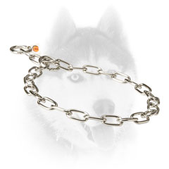 Strong Siberian Husky Collar for     different activities