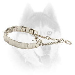 Metal Siberian Husky Collar for     advanced training