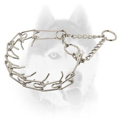 Siberian Husky     training Collar of high quality steel