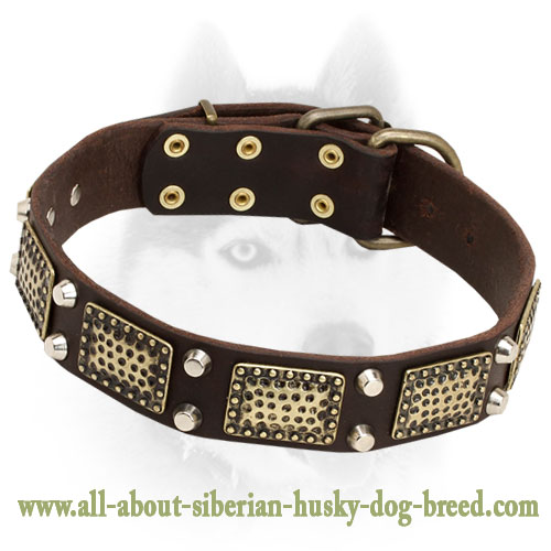 Elegant Leather Collar Decorated With Plates