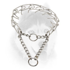 Siberian Husky training Collar of quality steel