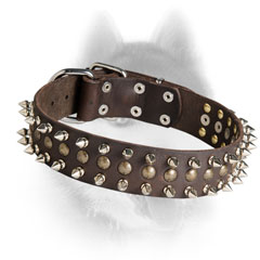 Strong Siberian Husky collar with securely riveted fittings