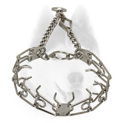 Strong Siberian     Husky collar with welded swivel