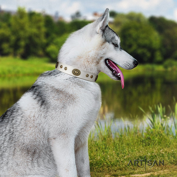 Siberian Husky natural genuine leather dog collar with embellishments for fancy walking