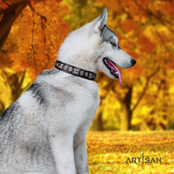 Siberian Husky full grain genuine leather dog collar with decorations for easy wearing