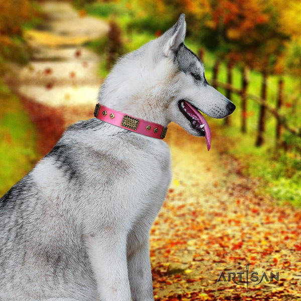 Siberian Husky full grain leather dog collar with adornments for stylish walking