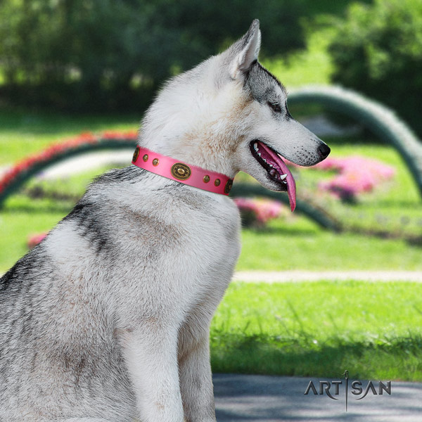 Siberian Husky genuine leather dog collar with embellishments for stylish walking