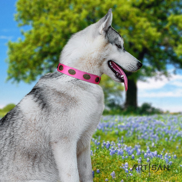 Siberian Husky full grain natural leather dog collar with embellishments for handy use
