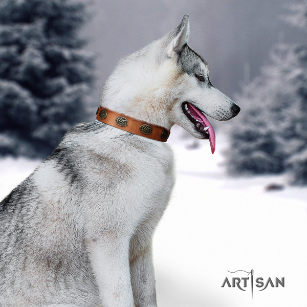 Siberian Husky genuine leather dog collar with adornments for easy wearing