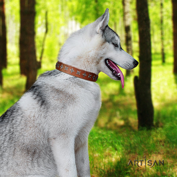 Siberian Husky full grain leather dog collar with decorations for easy wearing