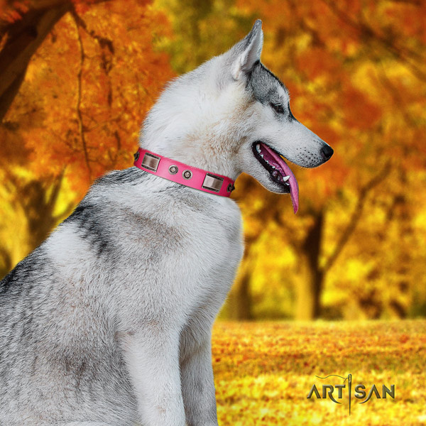 Siberian Husky designer adorned natural genuine leather dog collar