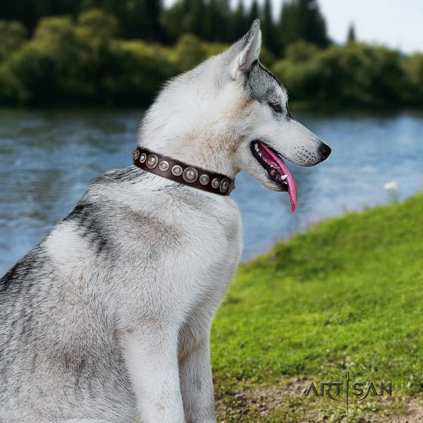 Siberian Husky full grain natural leather dog collar with adornments for comfy wearing