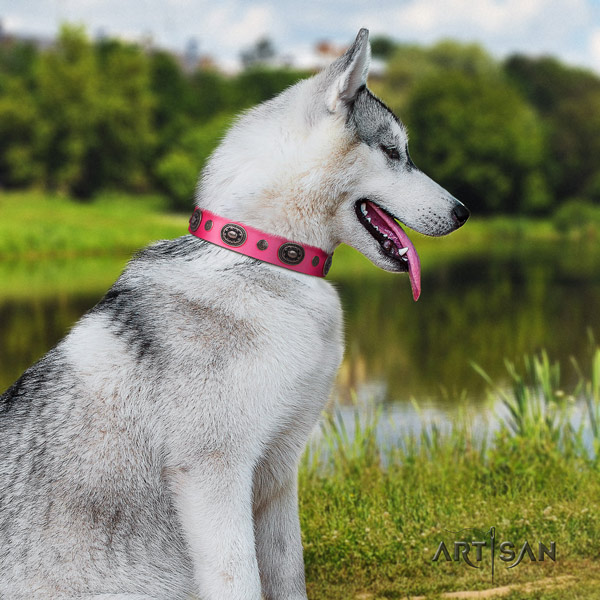 Siberian Husky full grain genuine leather dog collar with embellishments for daily walking