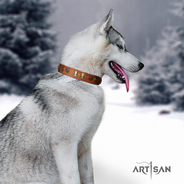 Siberian Husky genuine leather dog collar with studs for daily walking