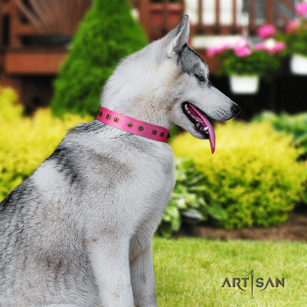 Siberian Husky leather dog collar with studs for everyday use
