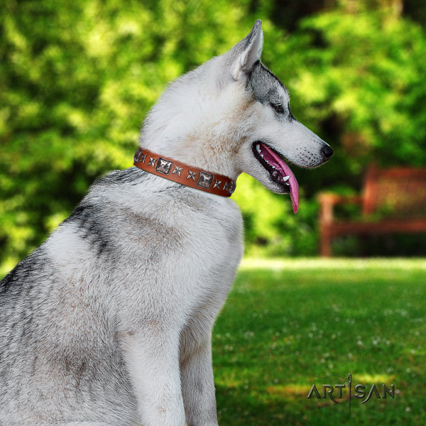Siberian Husky full grain natural leather dog collar with embellishments for walking