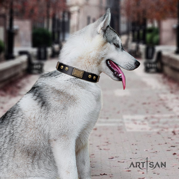Siberian Husky full grain genuine leather dog collar with adornments for easy wearing