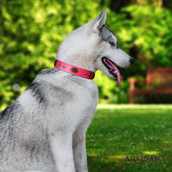 Siberian Husky leather dog collar with embellishments for comfortable wearing