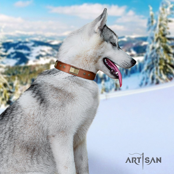 Siberian Husky genuine leather dog collar with decorations for stylish walking