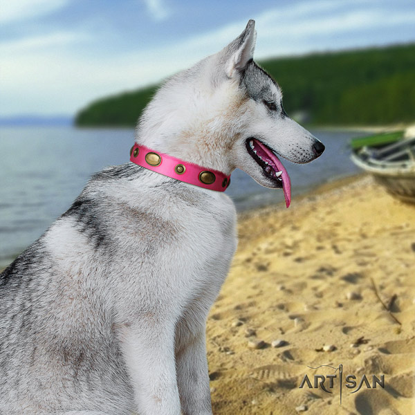 Siberian Husky leather dog collar with decorations for walking