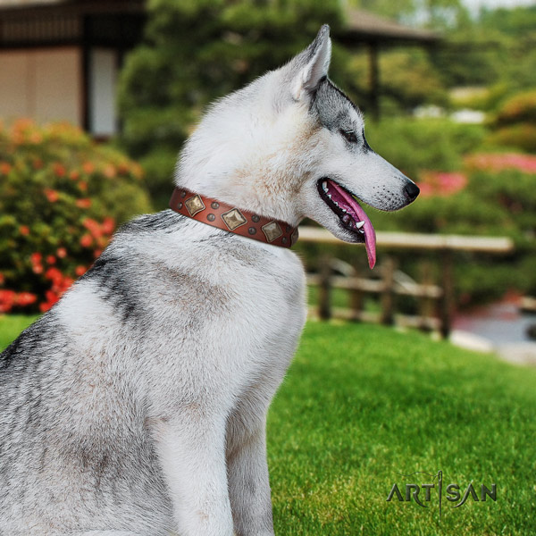 Siberian Husky genuine leather dog collar with decorations for comfy wearing