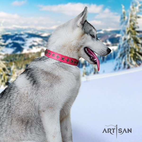 Siberian Husky leather dog collar with embellishments for daily use