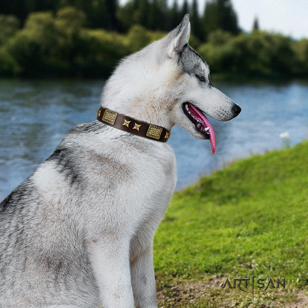 Siberian Husky full grain leather dog collar with embellishments for everyday walking
