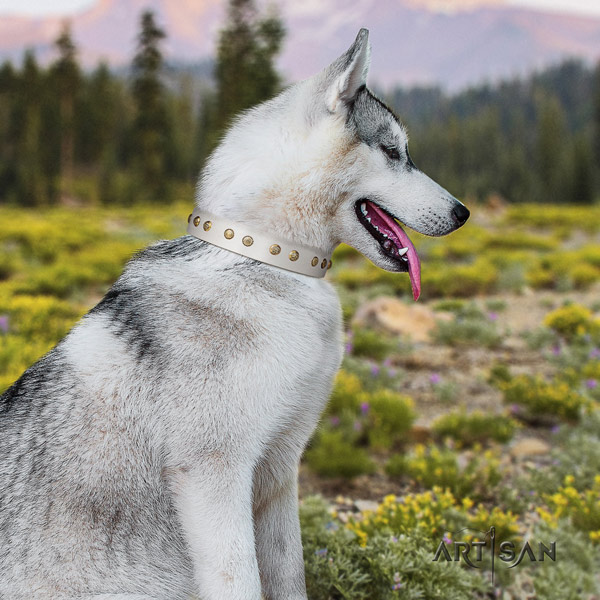 Siberian Husky natural genuine leather dog collar with embellishments for comfy wearing