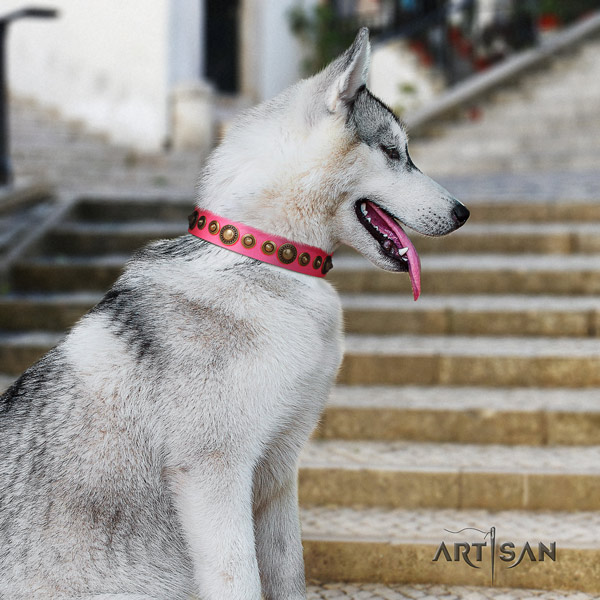 Siberian Husky full grain genuine leather dog collar with studs for walking
