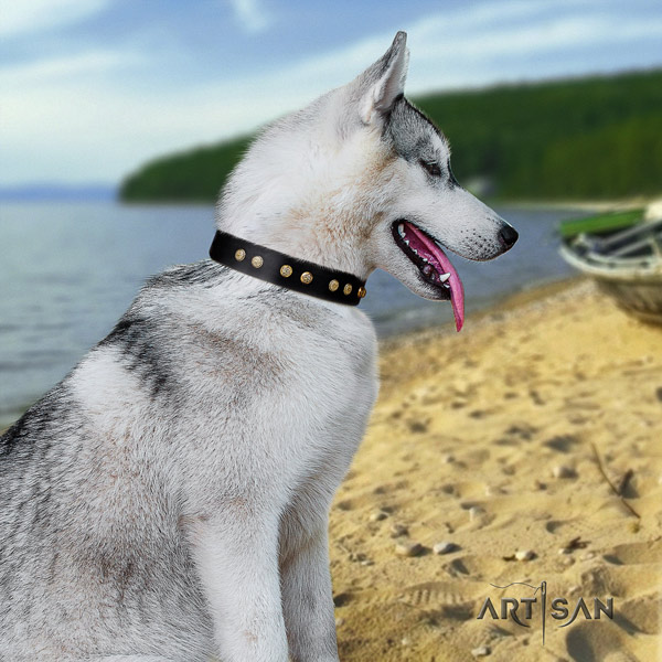 Siberian Husky full grain natural leather dog collar with decorations for comfy wearing