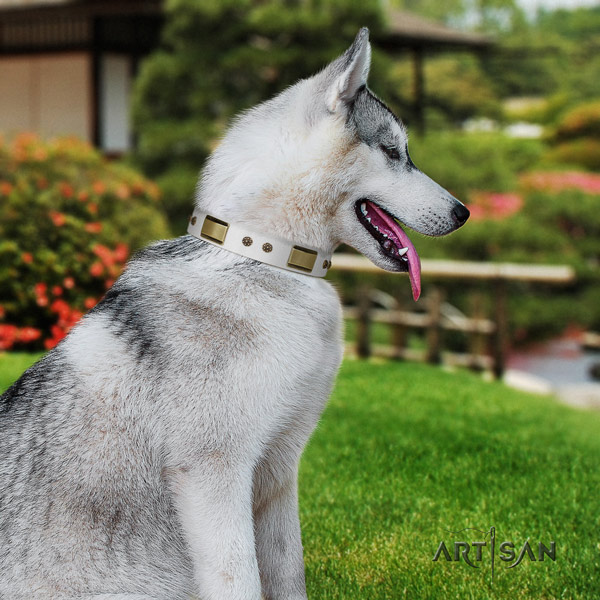 Siberian Husky leather dog collar with adornments for stylish walking
