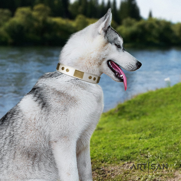 Siberian Husky natural genuine leather dog collar with adornments for daily walking