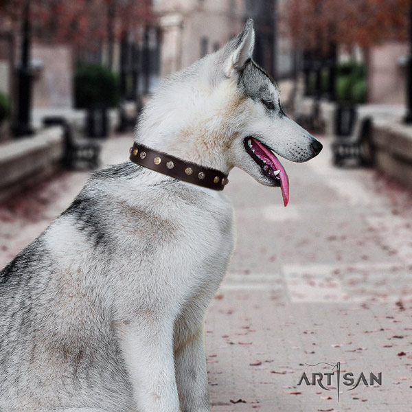 Siberian Husky natural genuine leather dog collar with embellishments for everyday walking