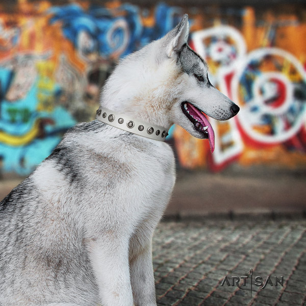 Siberian Husky full grain natural leather dog collar with decorations for stylish walking
