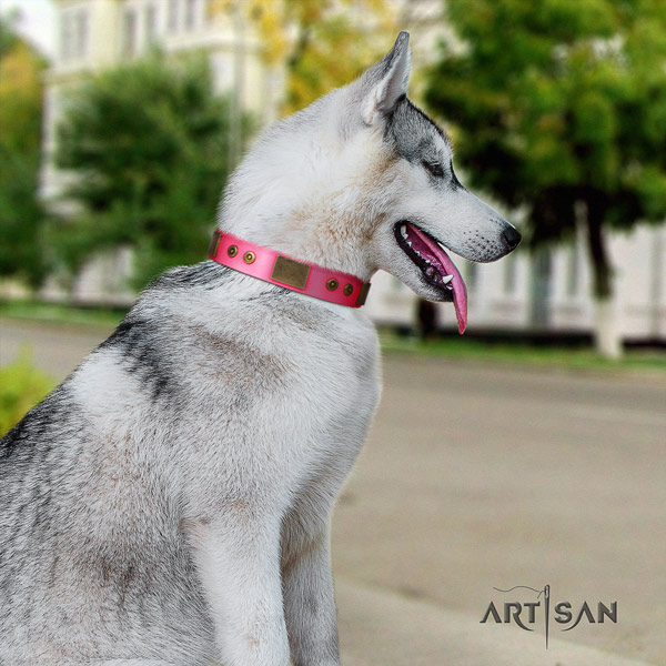 Siberian Husky full grain genuine leather dog collar with adornments for daily walking