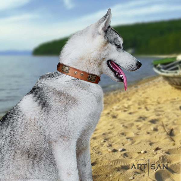 Siberian Husky full grain natural leather dog collar with embellishments for comfy wearing