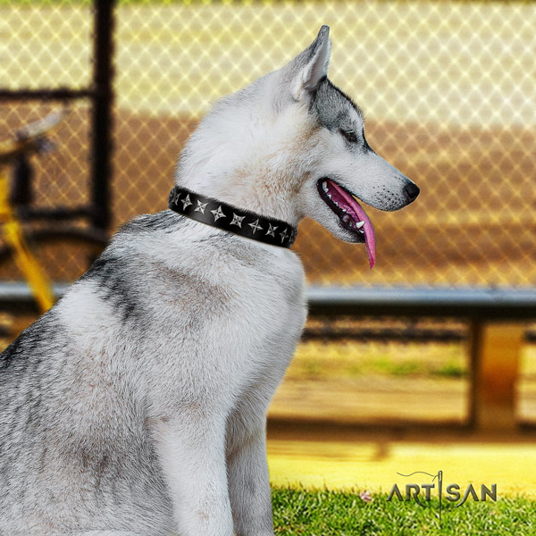 Siberian Husky leather dog collar with studs for handy use