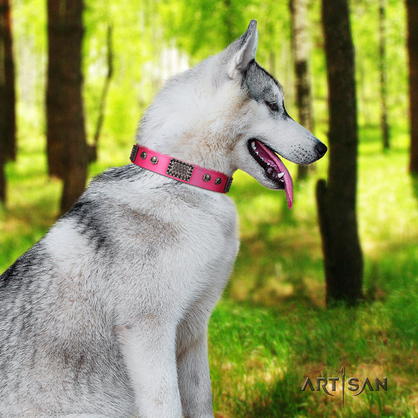 Siberian Husky leather dog collar with decorations for daily walking