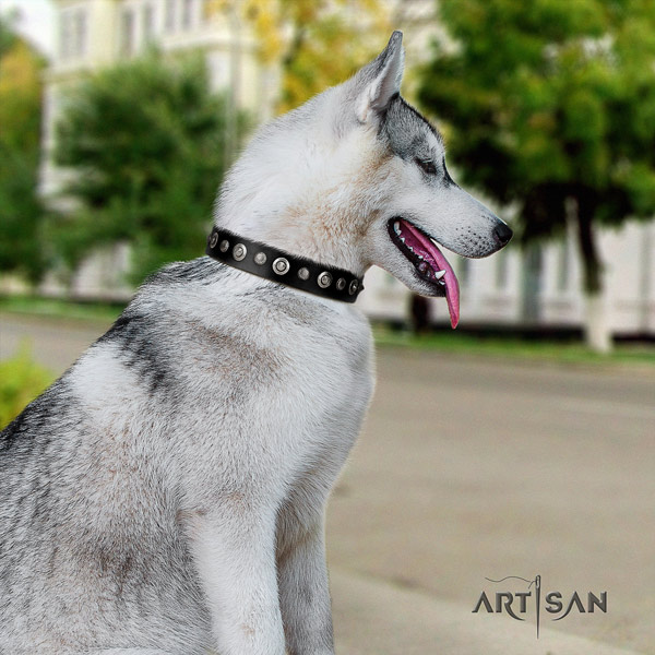 Siberian Husky full grain leather dog collar with embellishments for daily walking