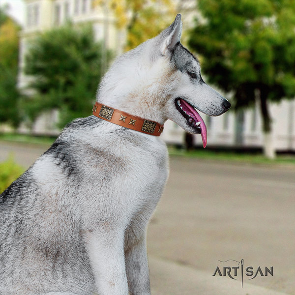 Siberian Husky full grain leather dog collar with embellishments for fancy walking