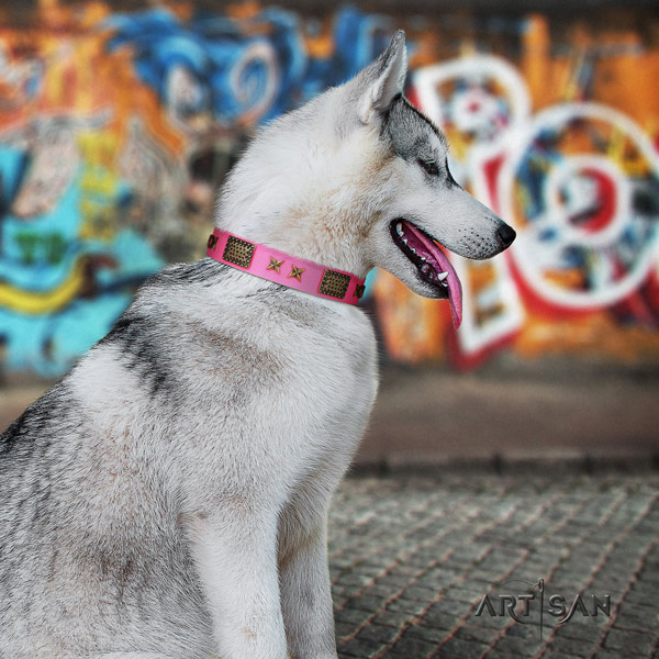 Siberian Husky full grain natural leather dog collar with adornments for everyday use
