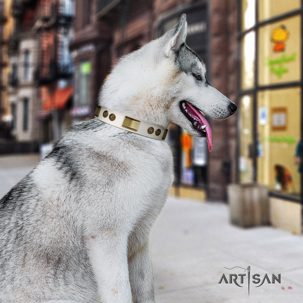 Siberian Husky full grain genuine leather dog collar with decorations for stylish walking