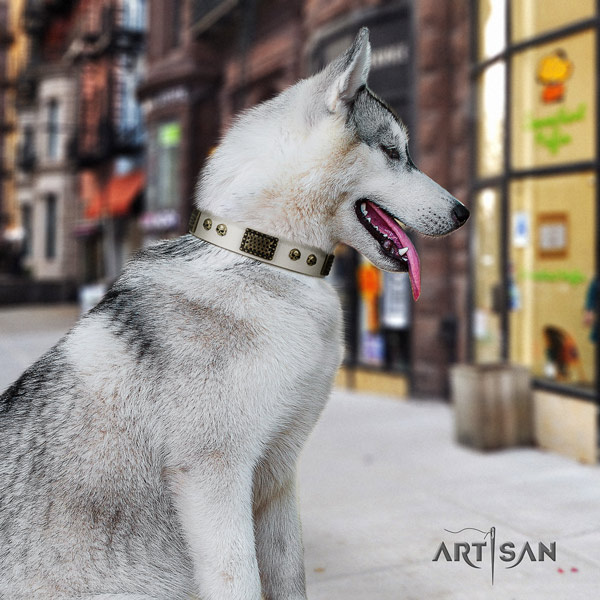 Siberian Husky full grain genuine leather dog collar with adornments for comfy wearing