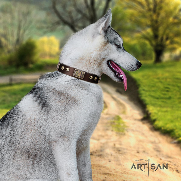 Siberian Husky natural genuine leather dog collar with studs for everyday use