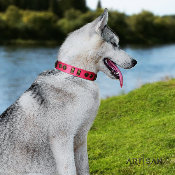Siberian Husky full grain leather dog collar with embellishments for walking